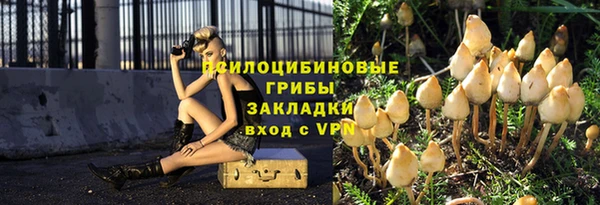 соль ск Балабаново