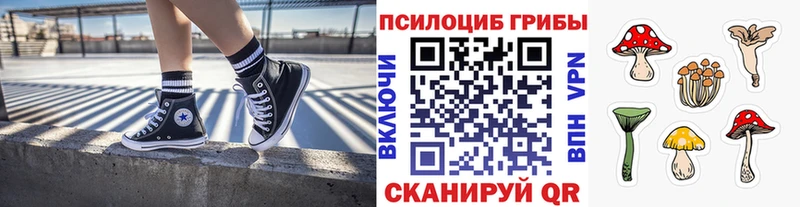 Купить где  Наро-Фоминск  Галлюциногенные грибы Magic Shrooms 